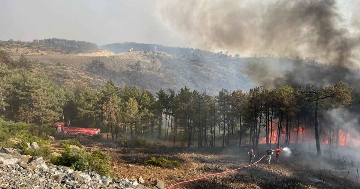 Orman Yangınlarında Kritik Değerlendirme: Ekim Ayına Kadar Risk Devam Ediyor